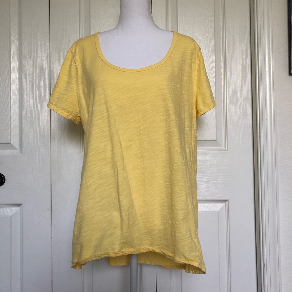 Fresh Produce Yellow Scoop Neck T-shirt